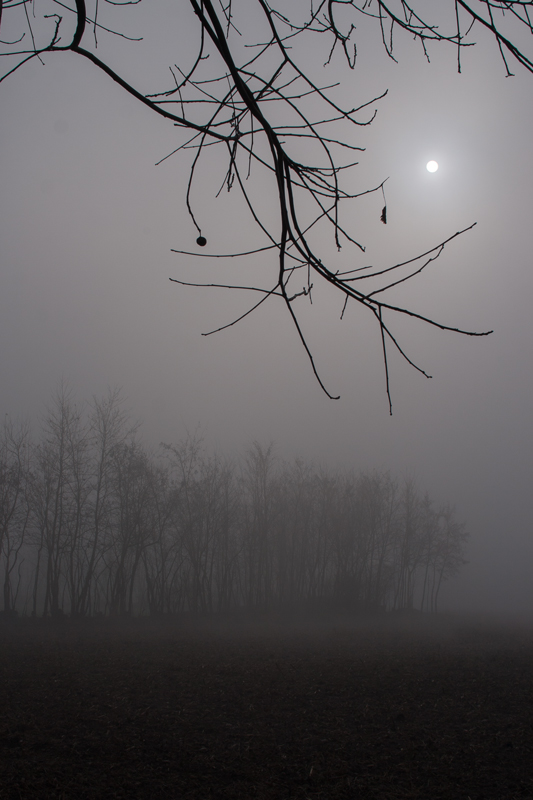 Il buongiorno si vede dal mattino