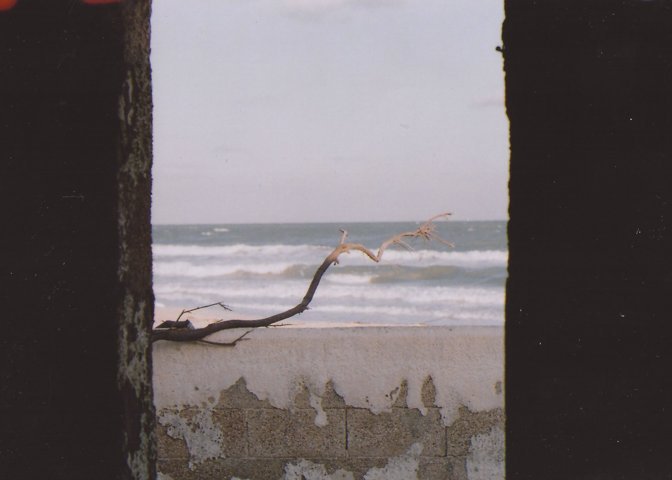 Black flies on the windowsill that we are to know winter stole summer's thrill