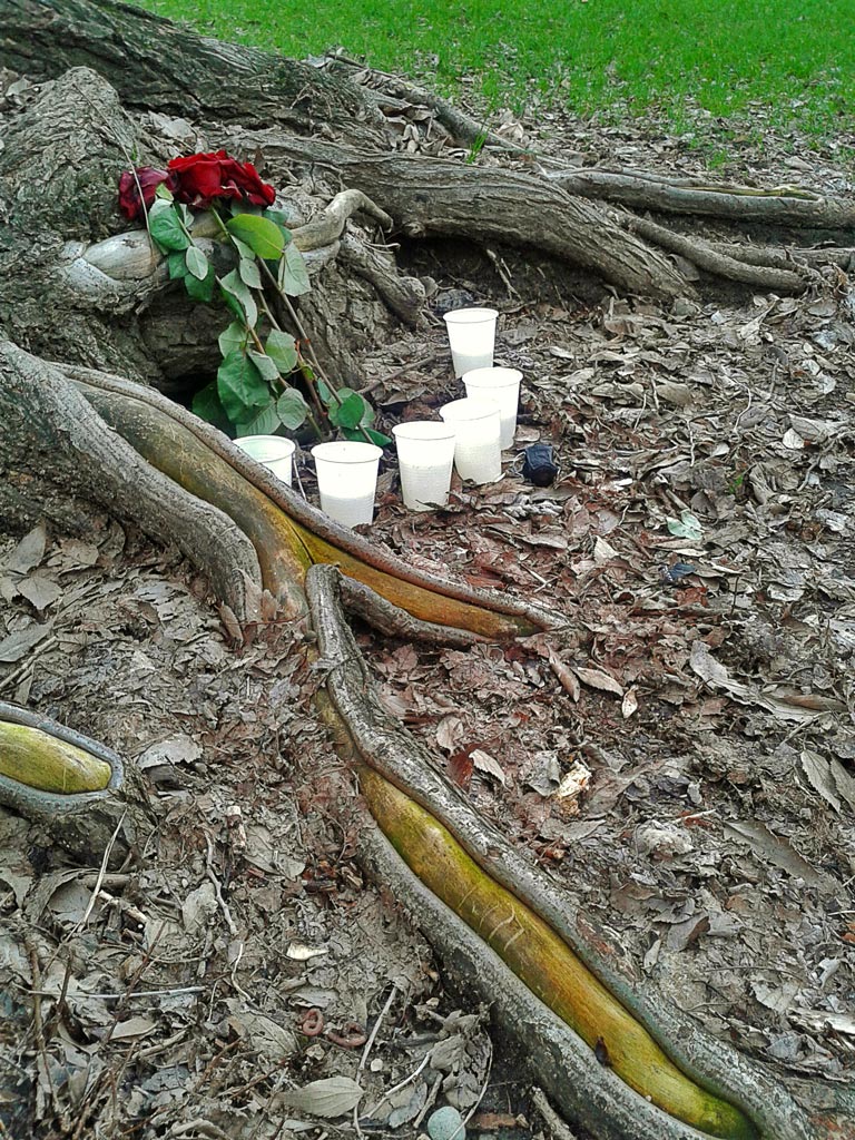 Plastic glass & roses