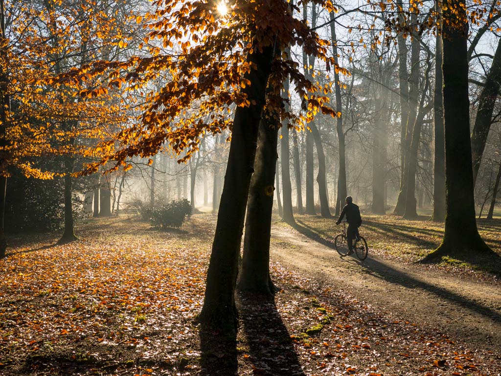 Pedalando nel parco