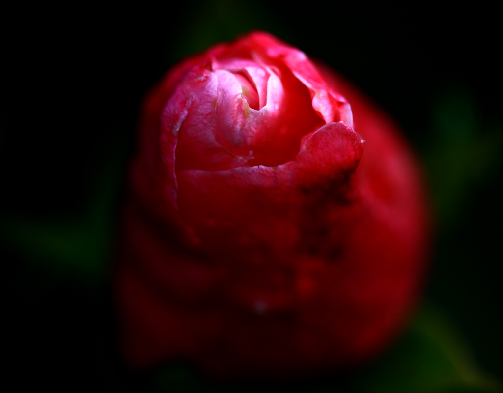 segni di primavera 2