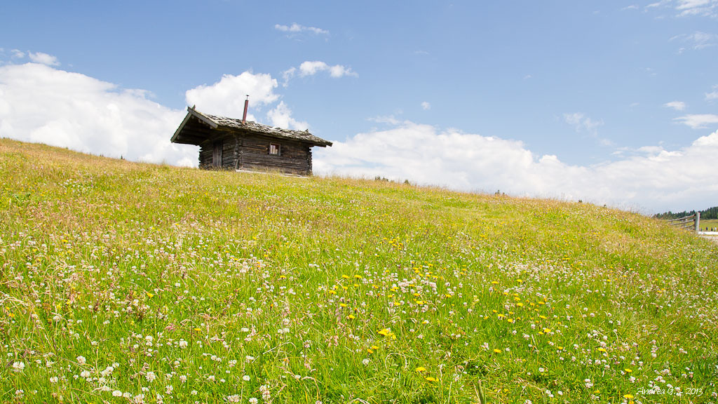 Rodenecker Alm - Alpe di Rodengo (BZ) #2