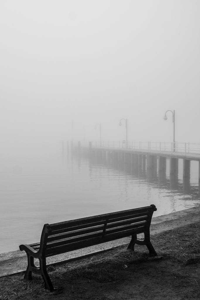 waiting in a foggy day