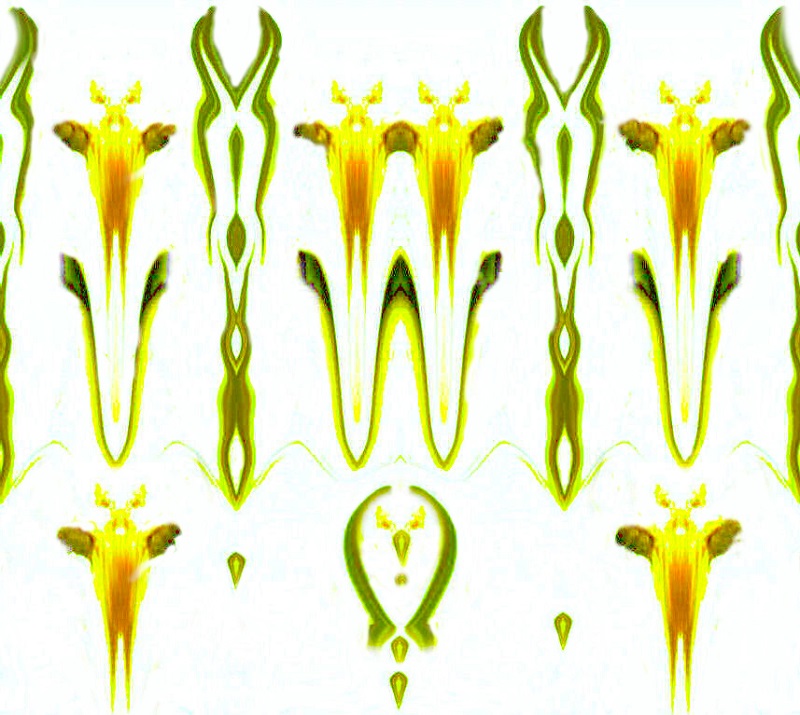 .... domani sar� primavera