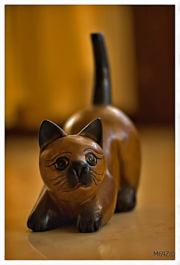 ancora giocando con il 50ino