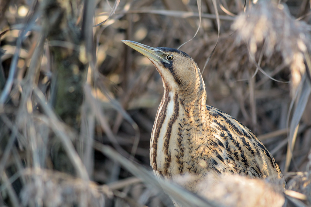 E la mia personale guerra continua