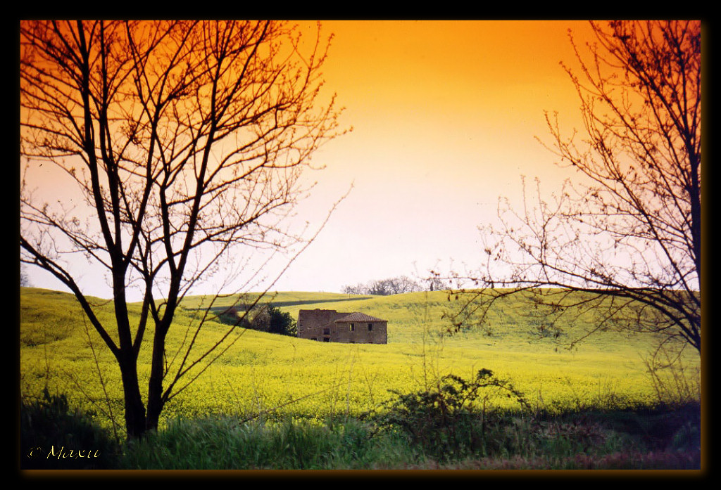 Autunno sulla strada per Orvieto...