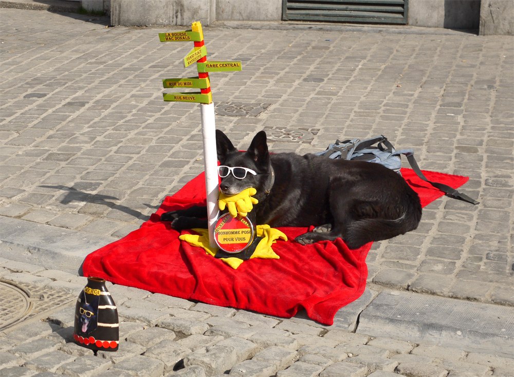 Per le vie di Bruxelles