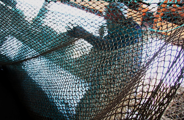 .....The worker....2