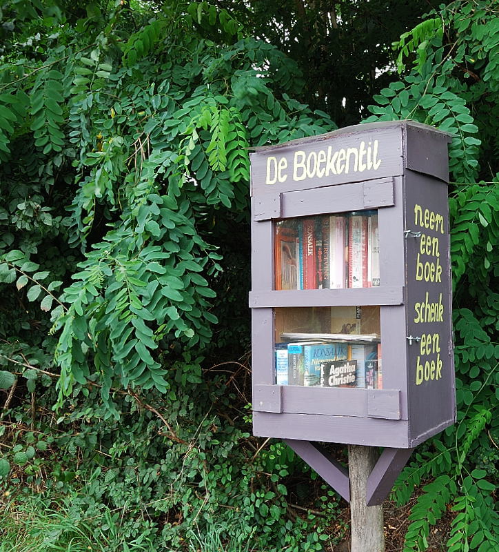 Libri nel bosco