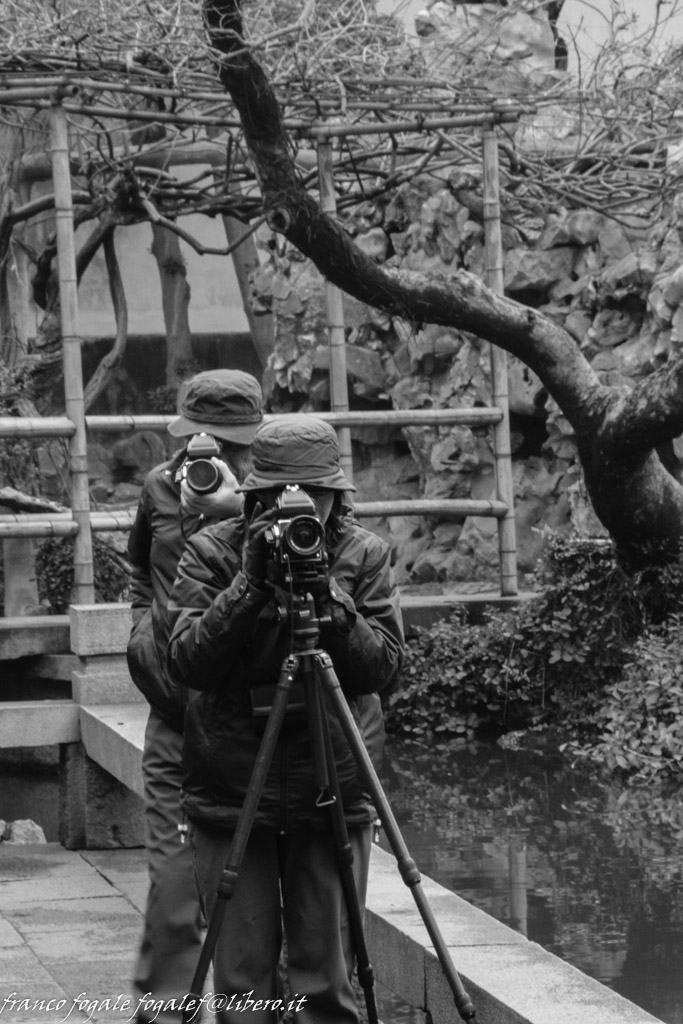 fotografi