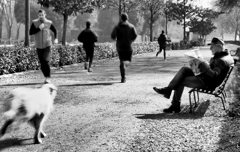 Correte voi, adesso!