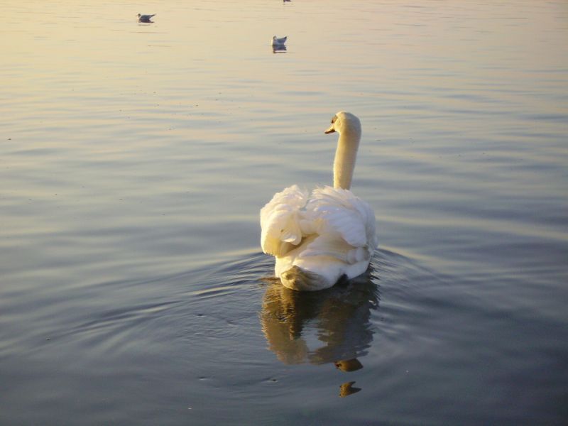 basta con le foto!!!!