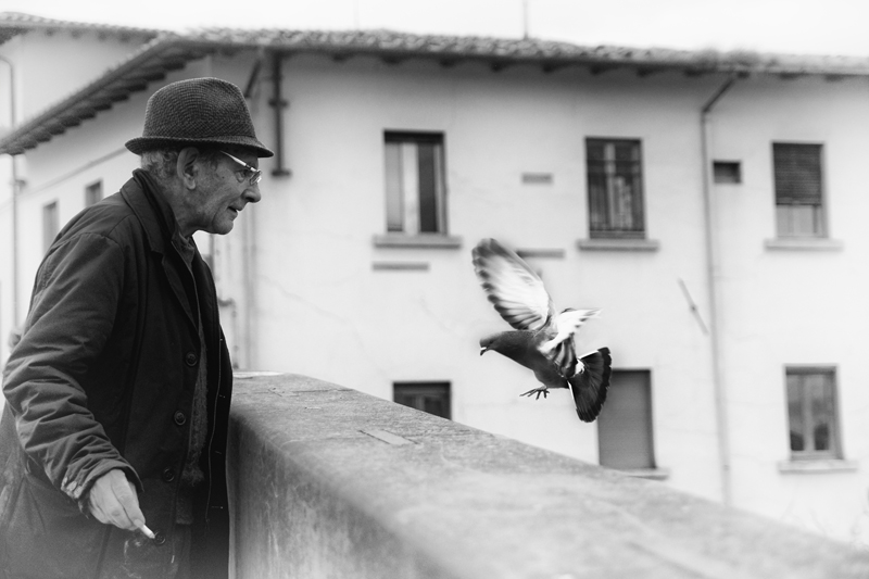 Il vecchio e il piccione