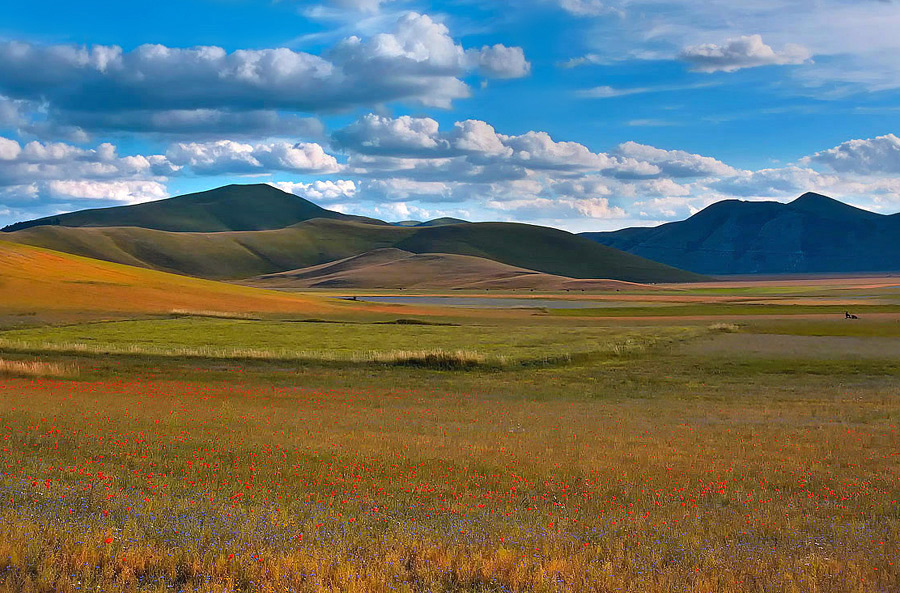 Castelluccio