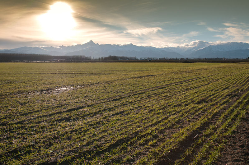 Le "nostre" montagne viste dalla pianura