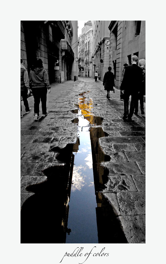puddle of colors