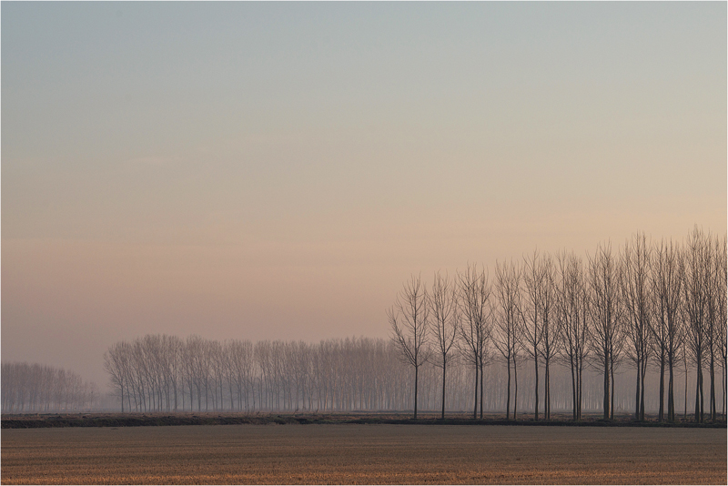 Acquerello di pianura...