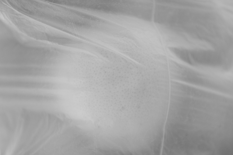 arancia in busta di plastica