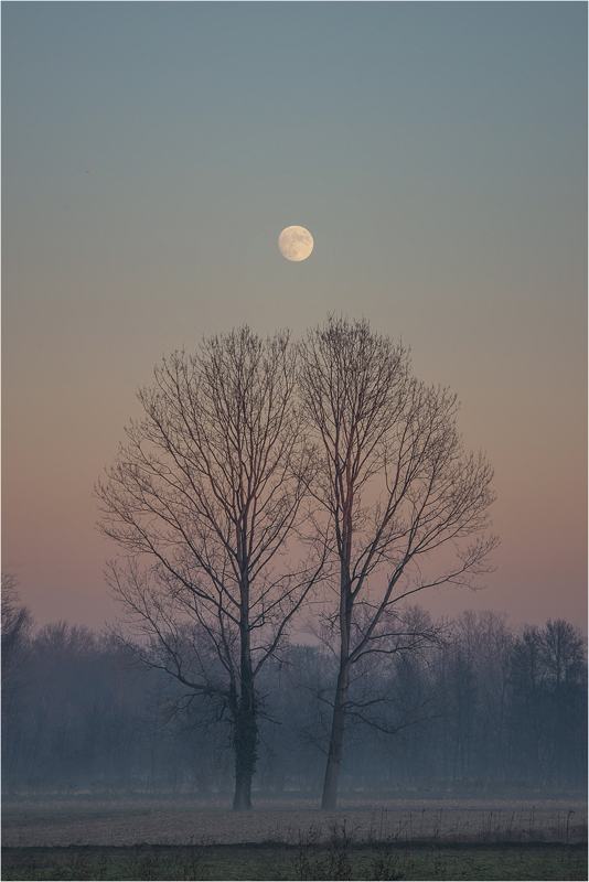 Gli amanti e la luna...