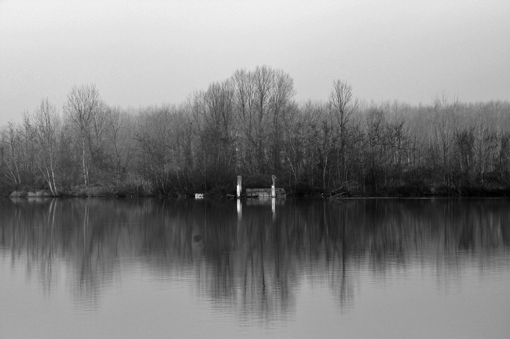 Impressioni d'inverno