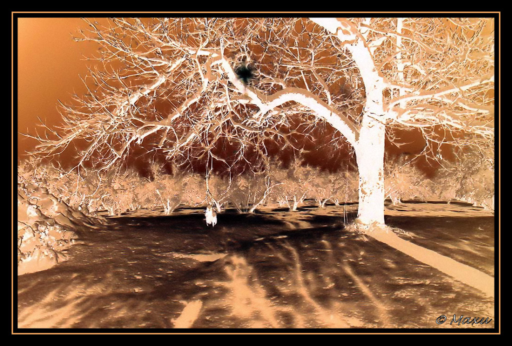 Walking on the Moon...