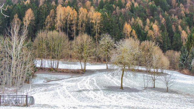 Autunno o Inverno ??