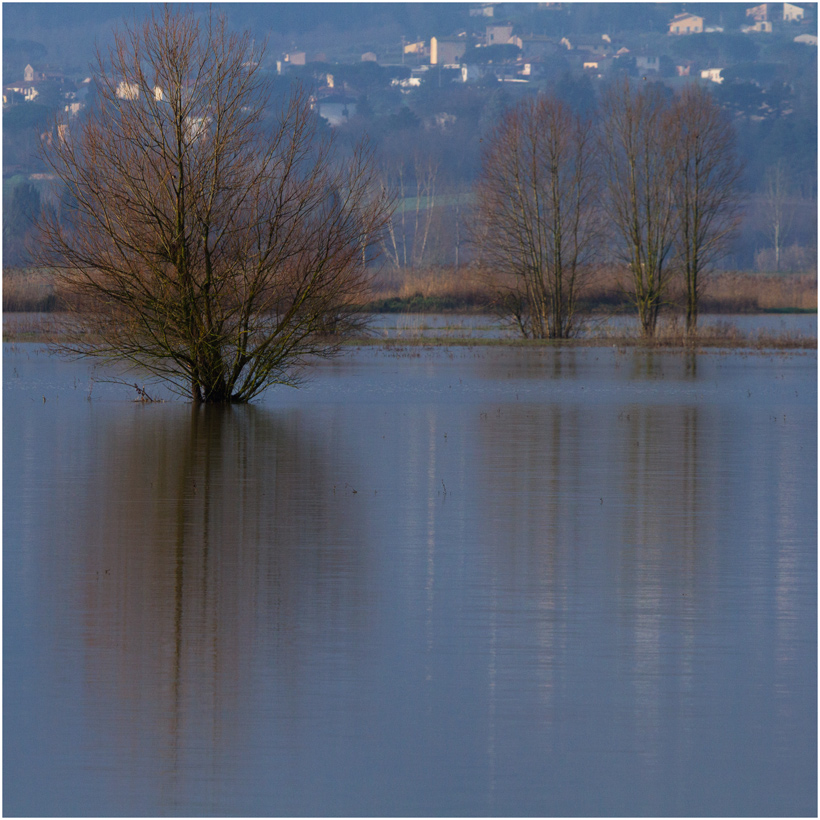 Les pieds dans l'eau