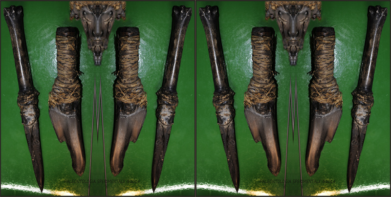 Paleotologia sperimentale� 2014