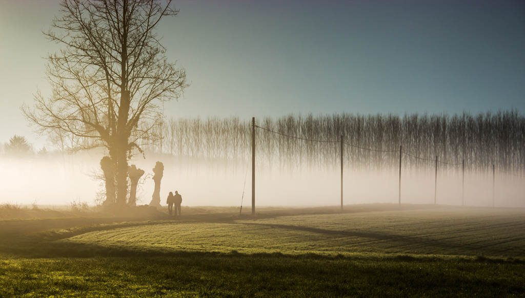 ombre nella nebbia