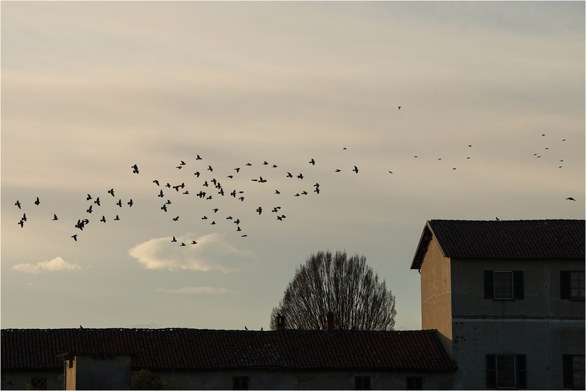 Grafico di una malinconia..