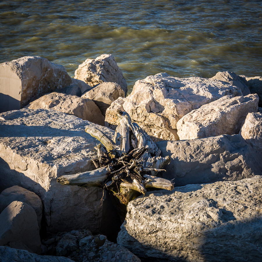 Dopo un lungo viaggio per mare