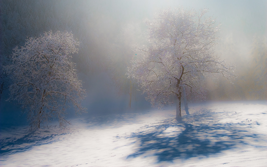 la rotta delle tenebre