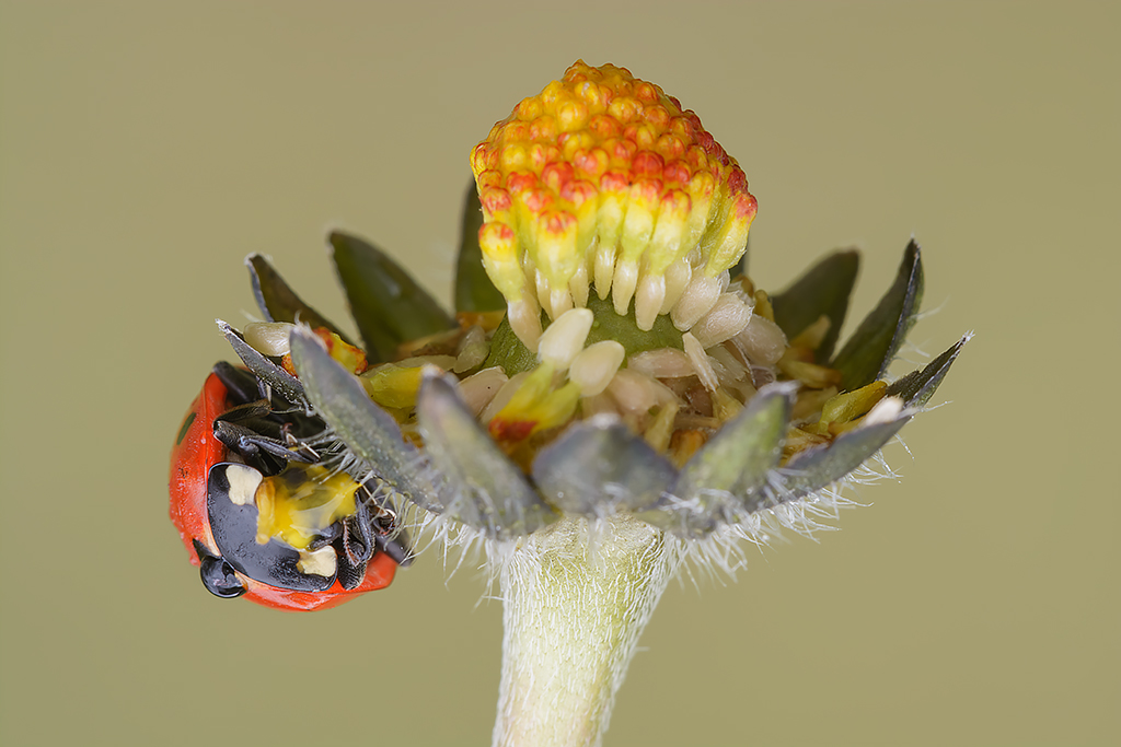 La prima di stagione...