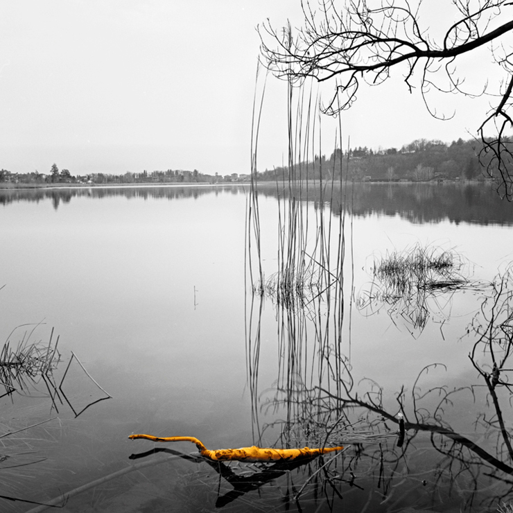 Cosa ci fa una carota nel lago del Segrino, ovvero omaggio alla desaturazione parziale