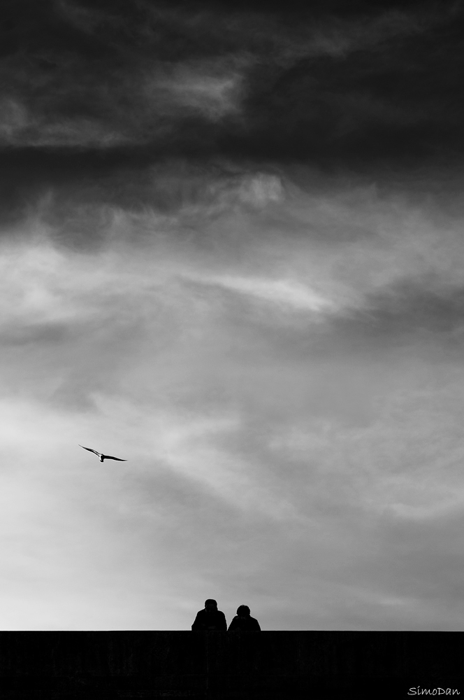 Ed egli impar� a volare e non si rammaricava per il prezzo che aveva dovuto pagare.