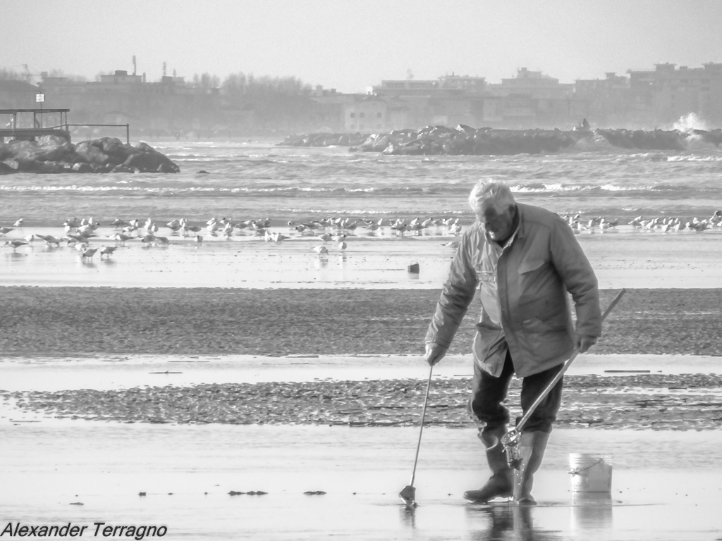 sta sera passatelli con le vongole