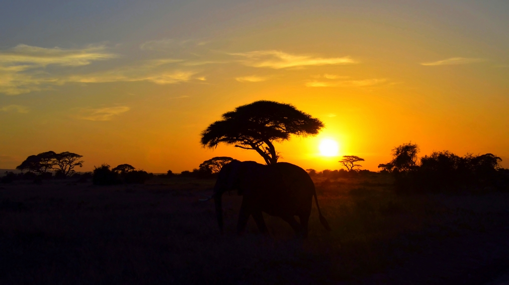 Tramonto africano
