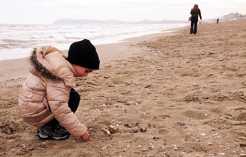 Conchiglie d'Inverno
