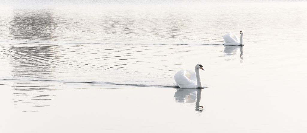 st  (... un tentativo di high key)