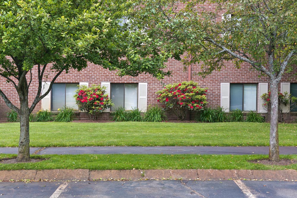 newton 25 - errata corrige