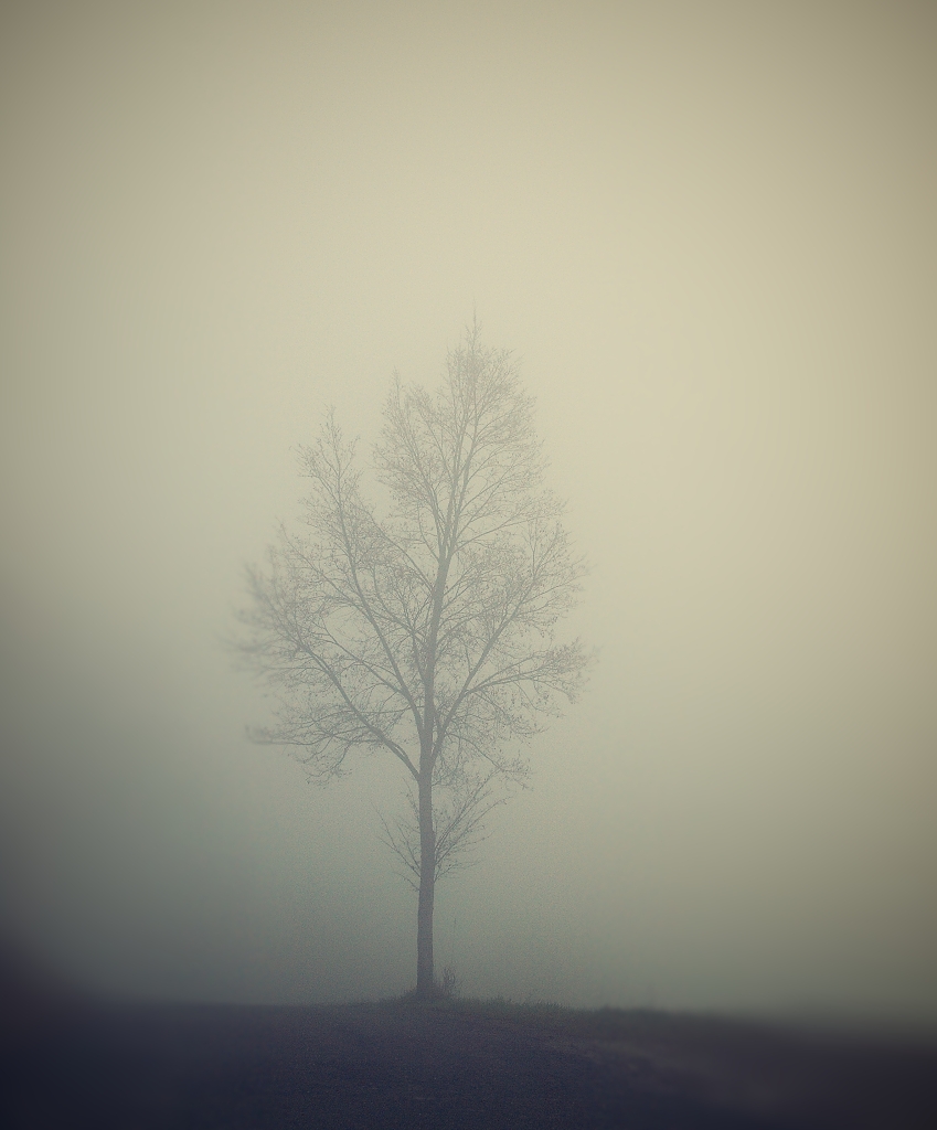 Fog