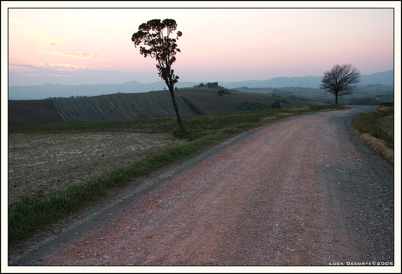 2 alberi e poco pi�...