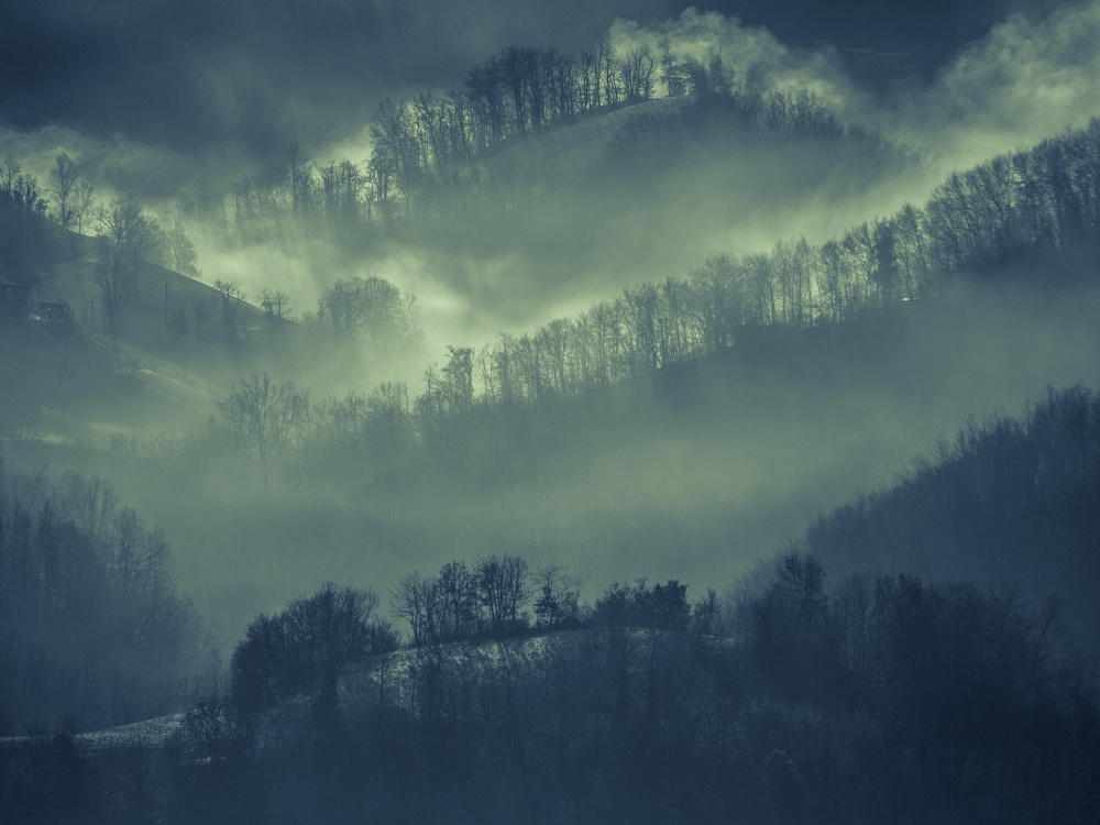 Nuova luce sul bosco