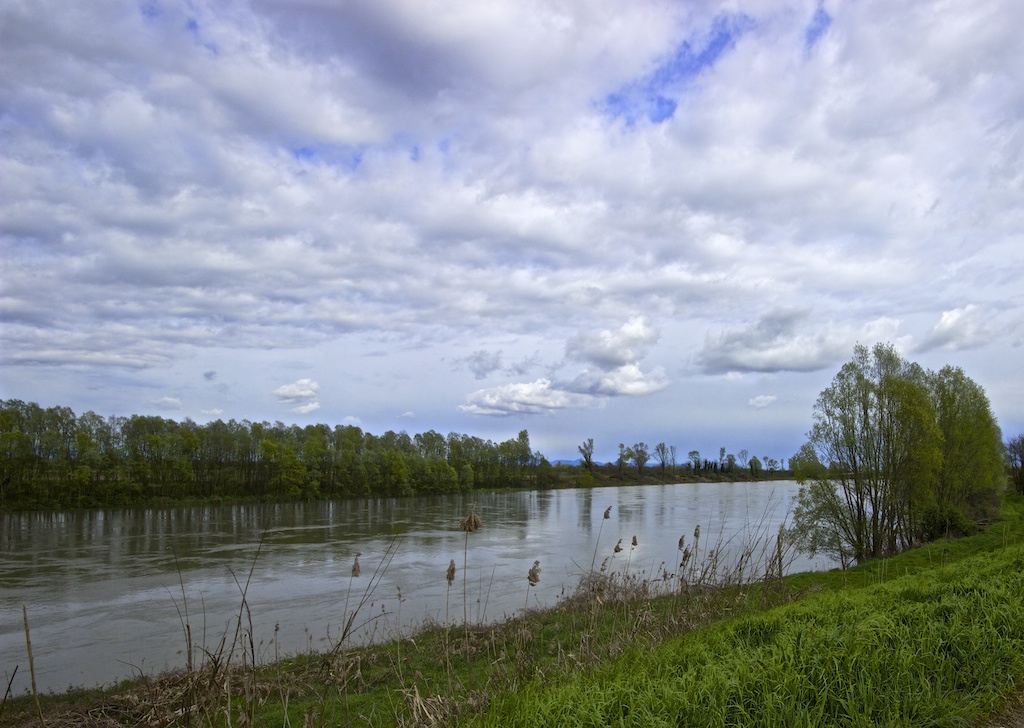Sull'argine dell'Adige