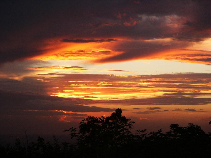 Tramonto in giungla velletrana