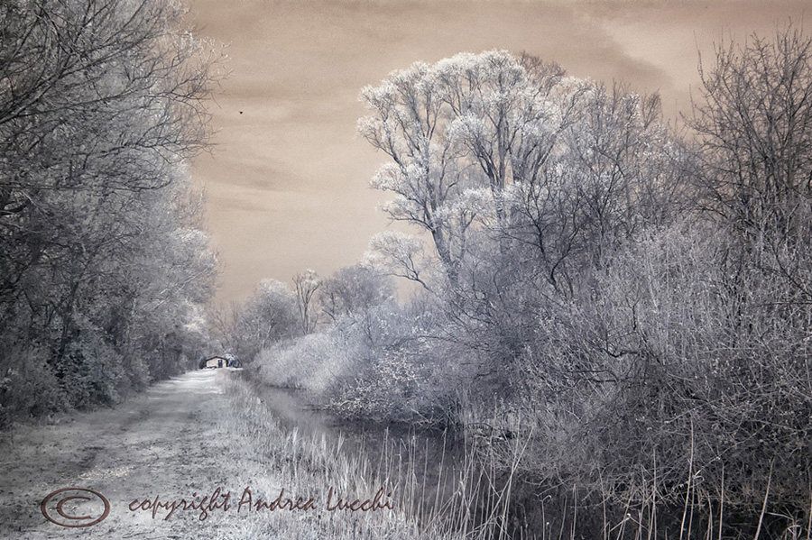 la casetta i fondo al viale