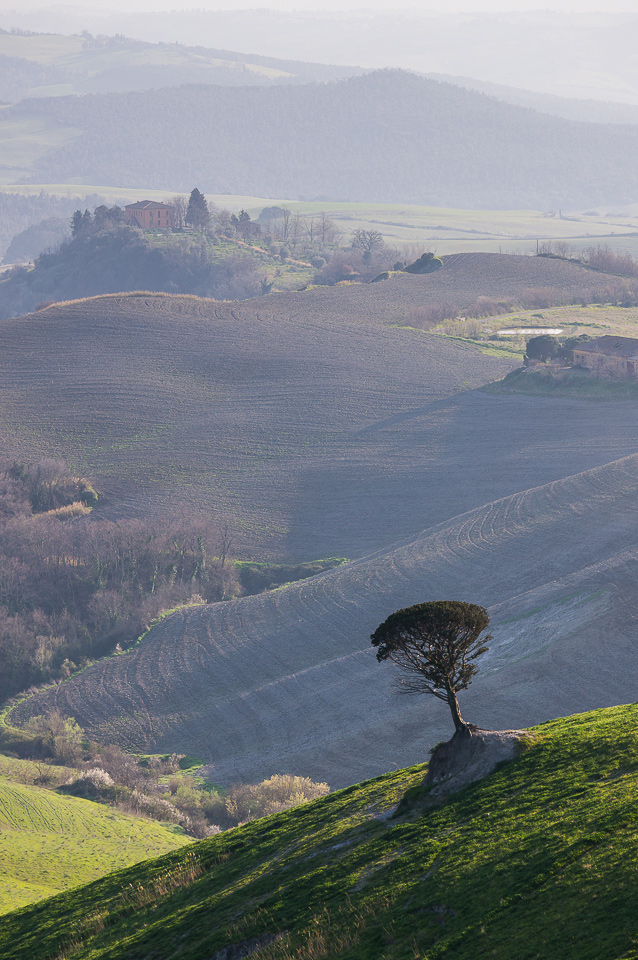 Terre Toscane - Volterra