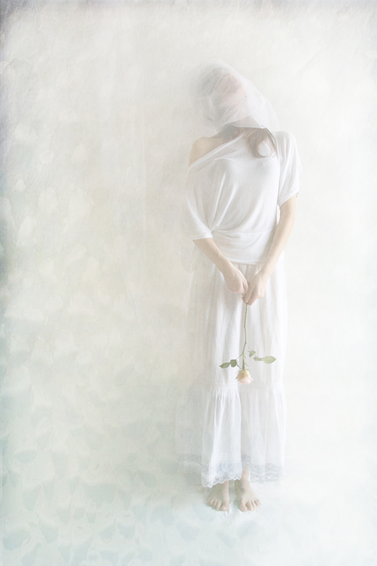 Un petalo di rosa scivola come un fiume tra le mie mani innamorate (M.A.)