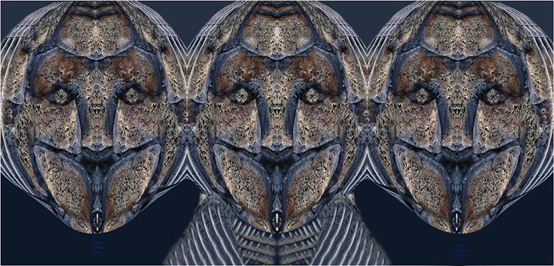 Pietra scoltura �2014